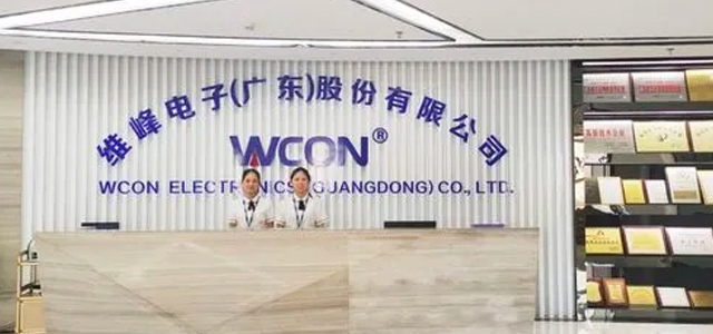 維峰電子(廣東)股份有限公司